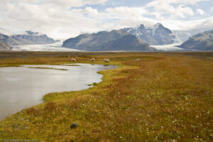 Il Vatnajökull è una cappa di ghiaccio situata nell´Islanda sudorientale: con circa 8.100 km², è la più grande d´Europa per volume