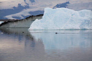 Jökulsárlón è il più grande e più conosciuto lago di origine glaciale dell´Islanda