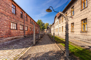 Inizialmente ad Auschwitz gli internati furono intellettuali e membri della resistenza polacca; più tardi vi furono deportati anche prigionieri di guerra sovietici, criminali comuni tedeschi, prigionieri politici ed "elementi asociali" come mendicanti, prostitute, omosessuali, testimoni di Geova ed ebrei.