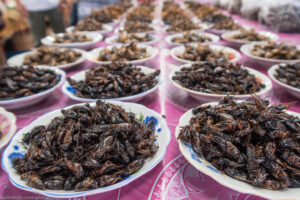 Don Makai, mercato degli insetti