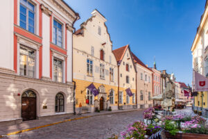 Confraternita delle Teste Nere, Tallinn
