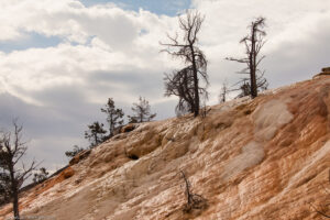 Mammoth Hot Springs, Parco nazionale di Yellowstone, Wyoming