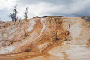 Mammoth Hot Springs, Parco nazionale di Yellowstone, Wyoming