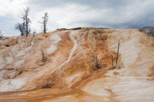 Mammoth Hot Springs, Parco nazionale di Yellowstone, Wyoming