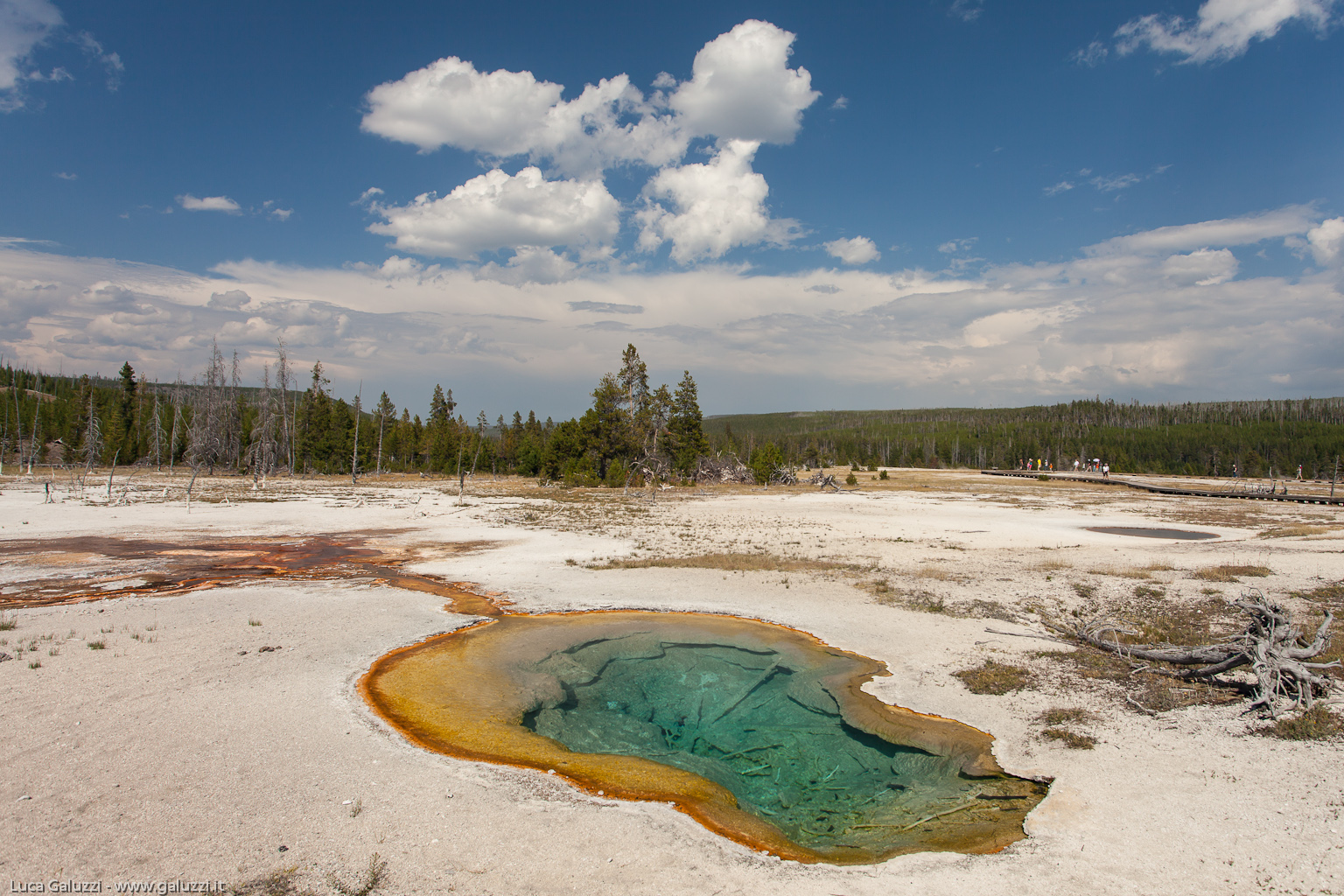 Biscuit Basin, Yellowstone NP
