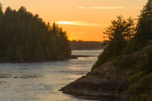 Tofino