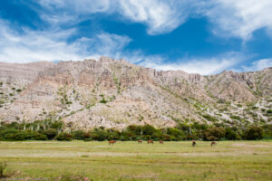 Quebrada de Humahuaca