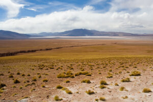 Laguna Colorada