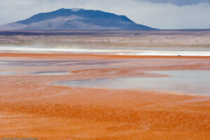 Laguna Colorada