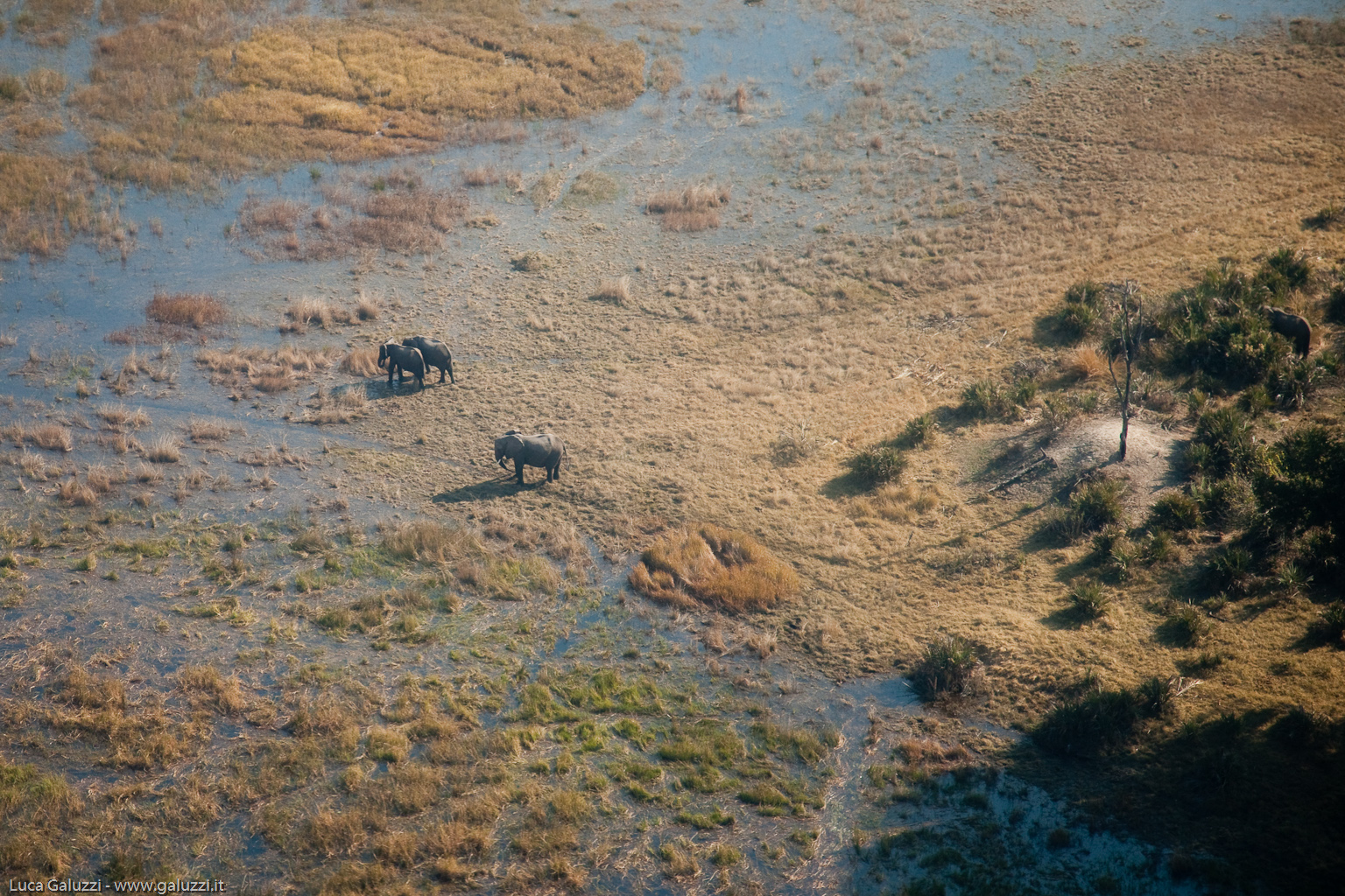 Okavango Delta