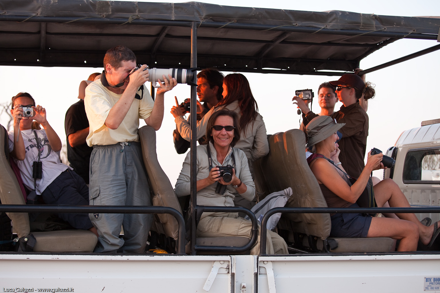 Safari Audience
