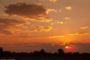 Moremi Sunset