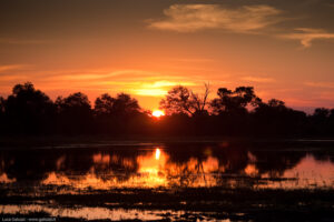 Moremi at Dusk