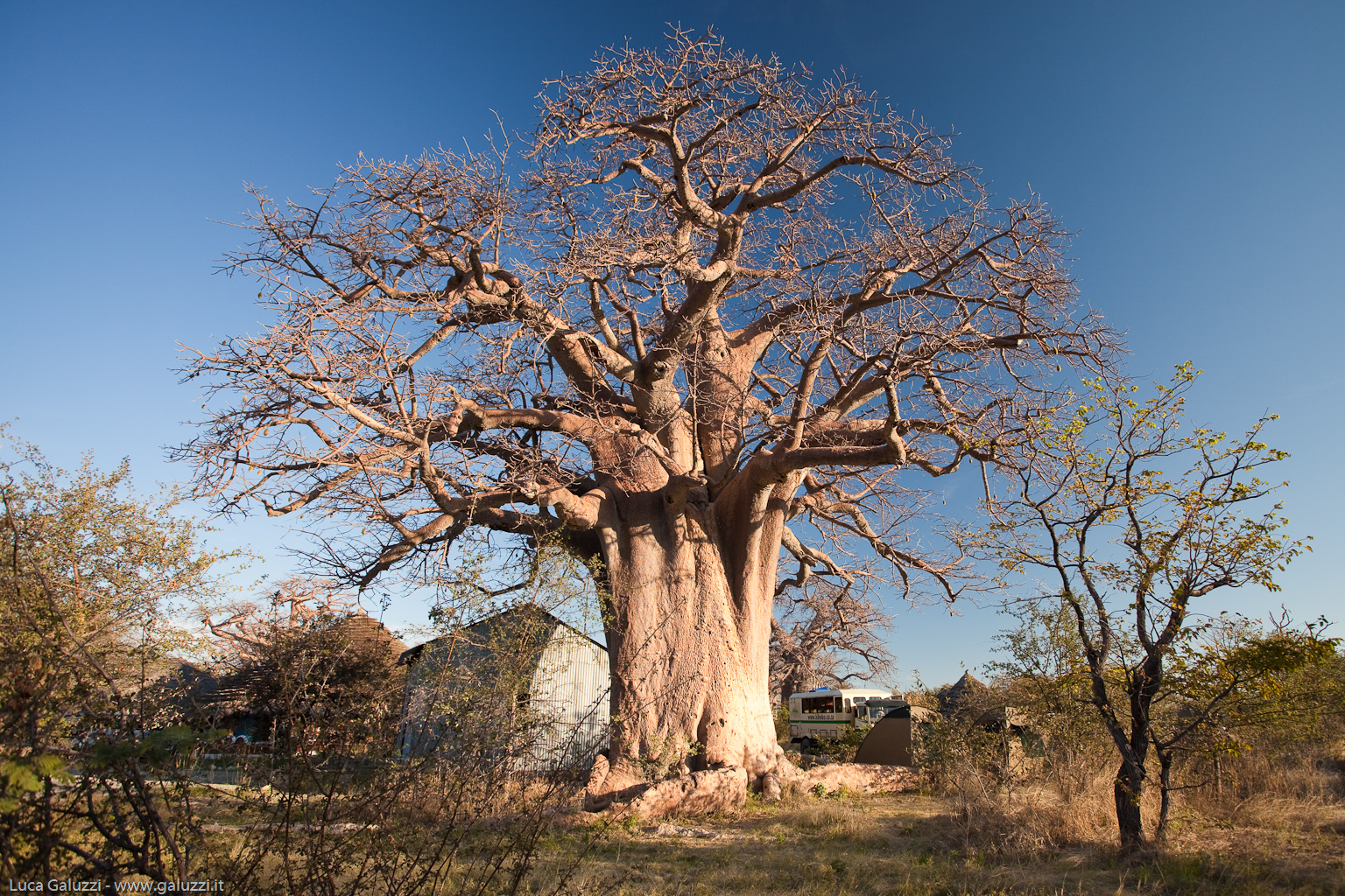 Baobab Camp