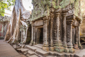 Ta Prohm è un tempio di Angkor costruito nello stile Bayon
