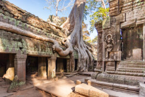 Il tempio di Ta Prohm fu usato come location cinematografica nel film Tomb Raider.