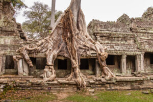 I sovrintendenti hanno tentato di mantenere un equilibrio tra il restauro e il mantenimento della condizione selvaggia nella quale il Preah Khan fu scoperto, che dona un fascino particolare a costruzioni come questa, perdute nella giungla.