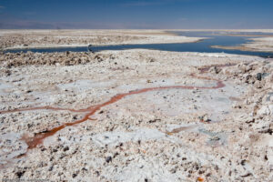 Salar de Atacama, Laguna Chaxa, 2.345 m