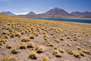 La Laguna Miscanti (4.350 m) ed il Cerro Miñiques (5.910 m)