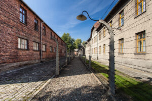 Inizialmente ad Auschwitz gli internati furono intellettuali e membri della resistenza polacca; più tardi vi furono deportati anche prigionieri di guerra sovietici, criminali comuni tedeschi, prigionieri politici ed "elementi asociali" come mendicanti, prostitute, omosessuali, testimoni di Geova ed ebrei.