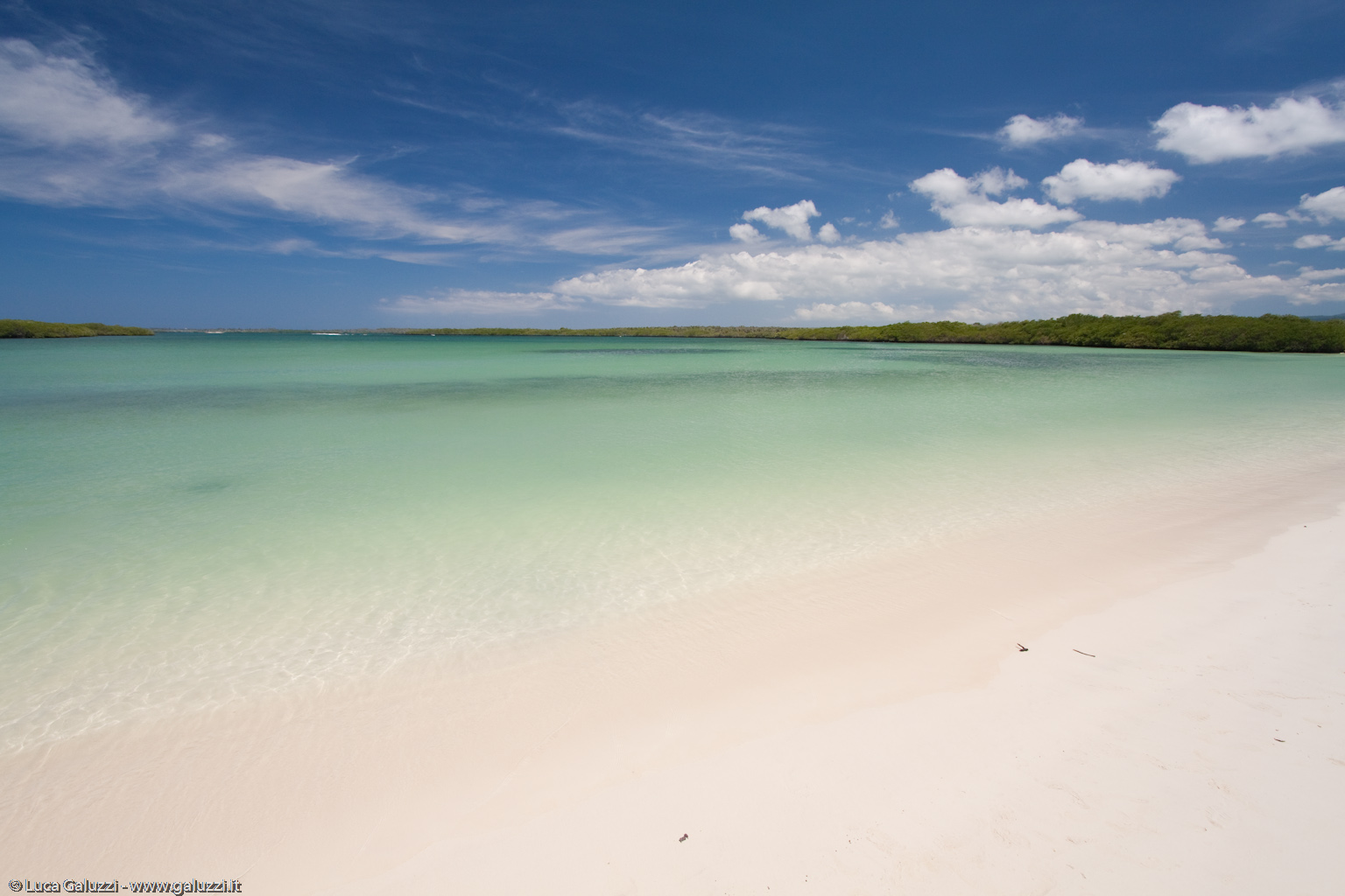 Tortuga Bay