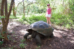 Tortuga de las Galápagos