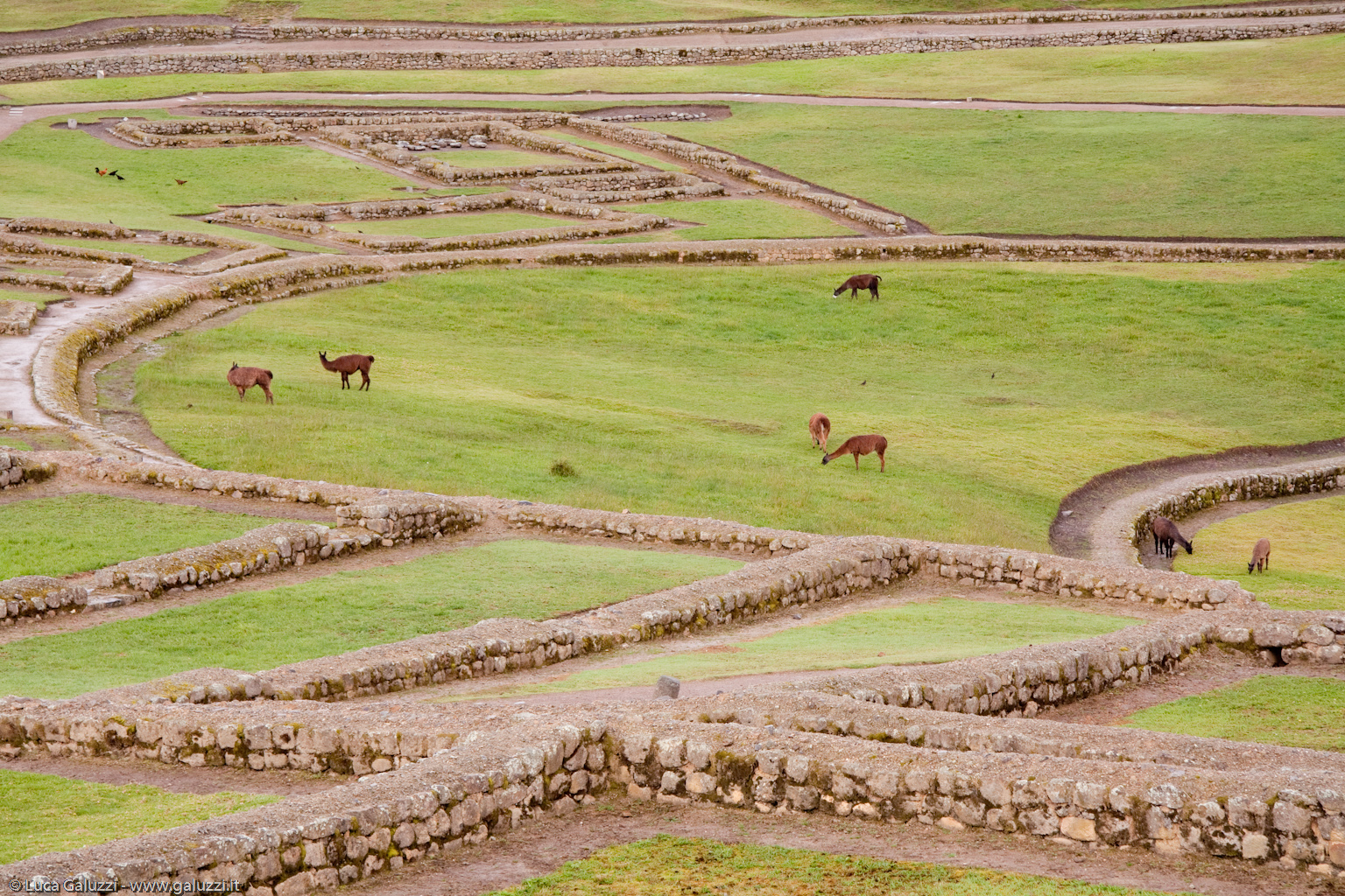Fortezza incaica di Ingapirca, situata a 3100 m d'altitudine