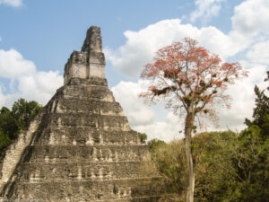 Tikal