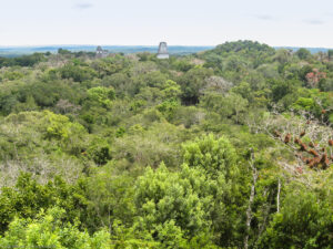 Tikal