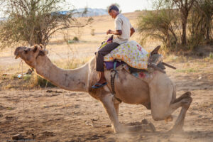 Deserto del Thar