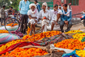 Mercato ortofrutticolo di Jaipur