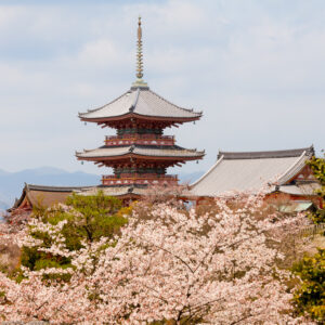 Kiyomizu-dera è noto per la sua singolare posizione, il suo teatro si trova infatti al di sopra di un precipizio. L´edificio è sorretto da 139 colonne di legno alte circa 13 metri.