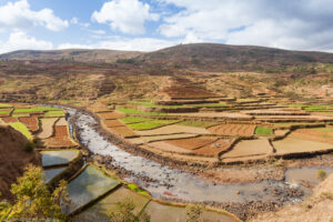 Risaie terrazzate, altopiano centrale o Hauts-Plateaux, Madagascar