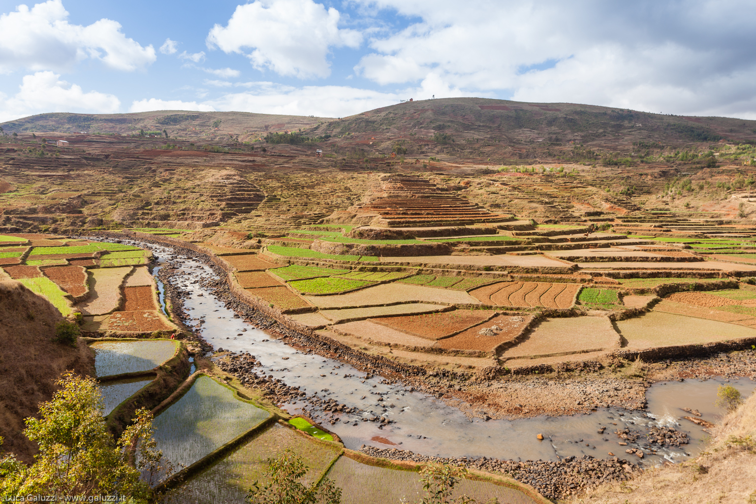 Risaie terrazzate, altopiano centrale o Hauts-Plateaux, Madagascar
