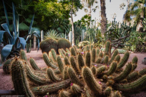 Jardin Majorelle, Marrakech