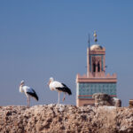 Marrakech