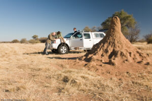 Namibia Central Plateau