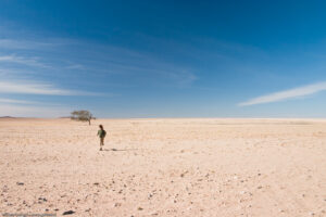 Deserto del Namib