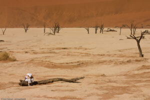 Dead Vlei