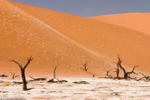 Dead Vlei