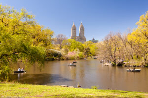 Central Park, New York