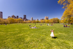 Central Park, New York