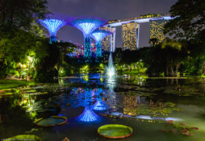 Supertree Grove, Singapore