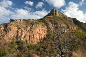 Mboniso Koppie, Ithala Game Reserve