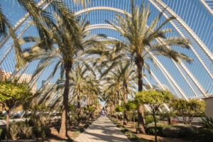 Umbracle, Città delle Arti e delle Scienze, Valencia