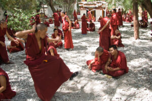 I monaci esercitano le loro capacità di dibattito durante la meditazione pomeridiana nel Monastero di Sera