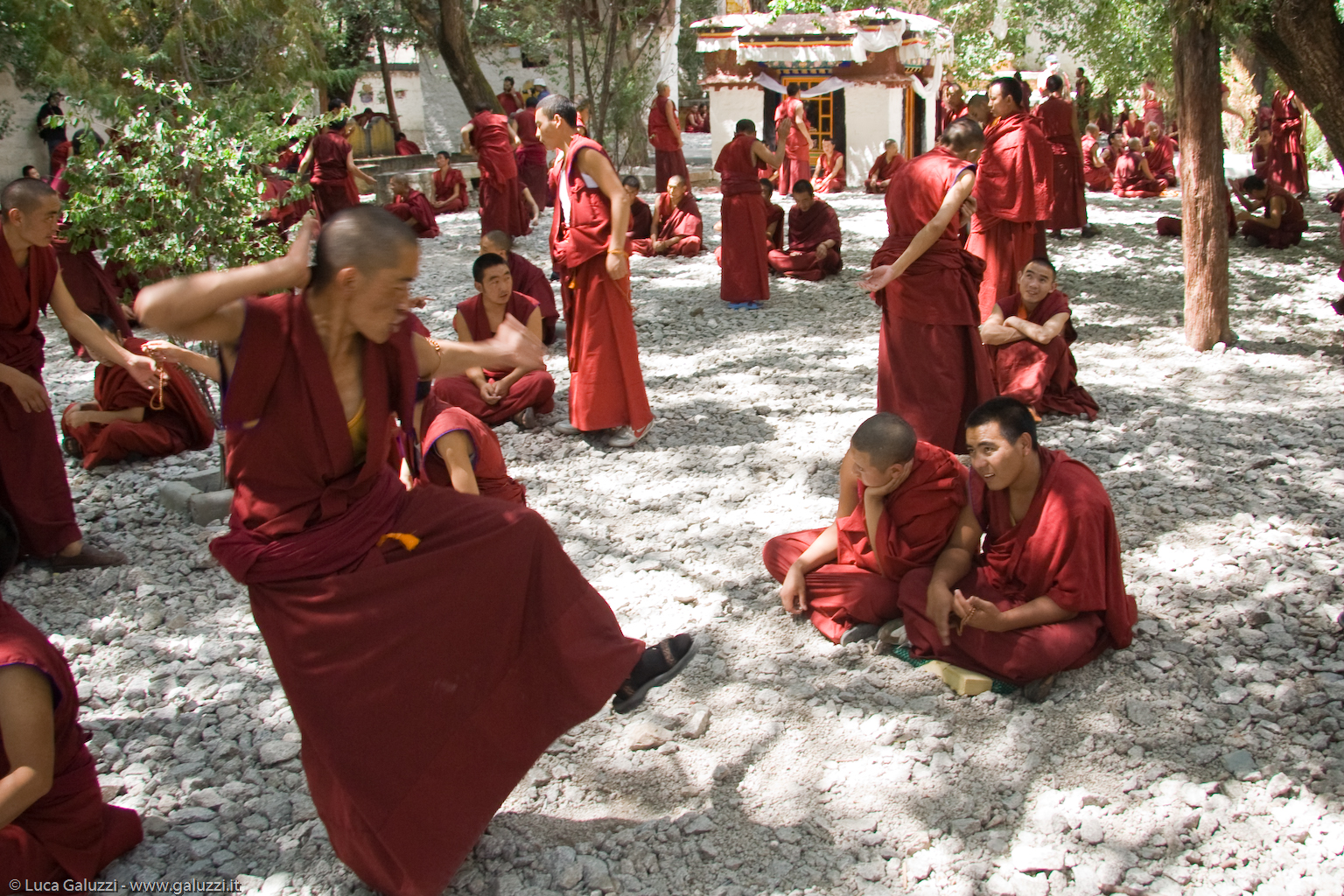 I monaci esercitano le loro capacità di dibattito durante la meditazione pomeridiana nel Monastero di Sera