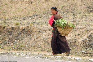 Le donne tibetane usano acconciare i capelli in due trecce, le ragazze in una sola.