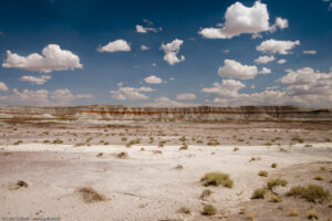 Petrified Forest, foresta pietrificata, Arizona