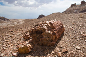 Petrified Forest, foresta pietrificata, Arizona